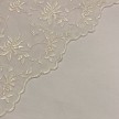 PIZZO 30 AVORIO