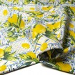 SCAMPOLO CM 290X150 TESSUTO PANAMA TOVAGLIA FANTASIA LIMONI