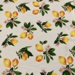 TESSUTO FANTASIA LIMONI H. 300 CM