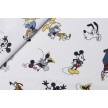 DIGITAL DISNEY WORDL  777 FRIEND BIANCO