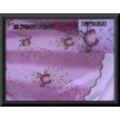 102/E6 ORGANZA SFUMATA BORDEAUX