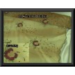 100/E6 Organza sfumata beige