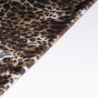 LYCRA MACULATA
