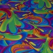 LYCRA CIRCUS 4 FIORI MULTICOLOR